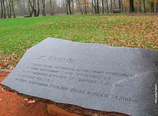 Доња Градина: Гробно поље Тополе Фото: НСПМ